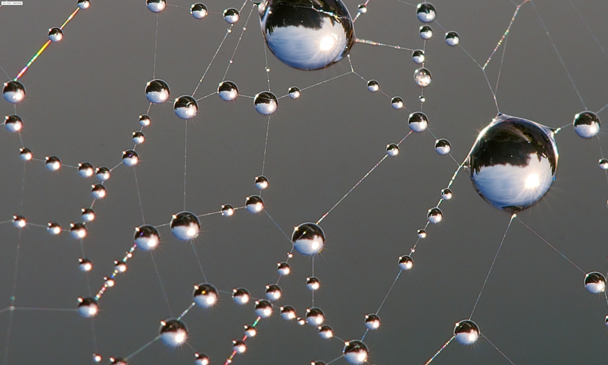 beskrivende alt-tekst